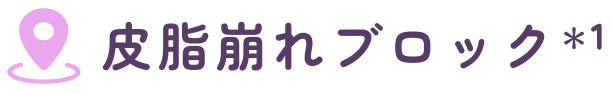 皮脂崩れブロック